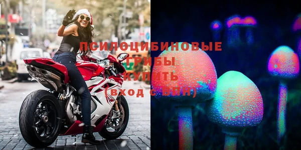 а пвп мука Мегион