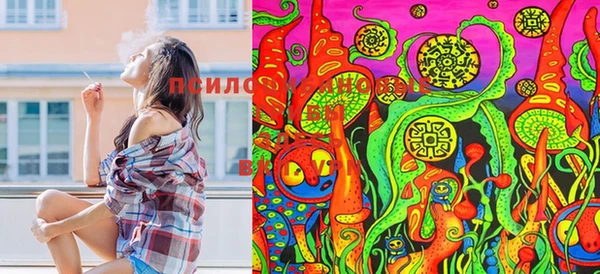 MDMA Медногорск