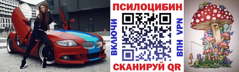 Купить закладки  Санкт-Петербург  Галлюциногенные грибы GOLDEN TEACHER 