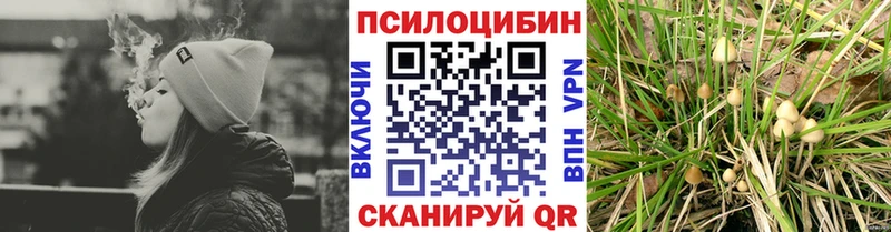 Галлюциногенные грибы мухоморы Санкт-Петербург